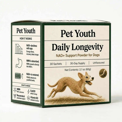 Daily NMN Powder for Dogs — Cellular Energy & Longevity Support My Store